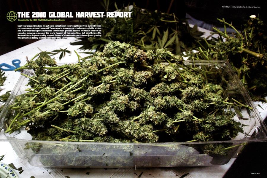 THE 2010 GLOBAL HARVEST REPORT
