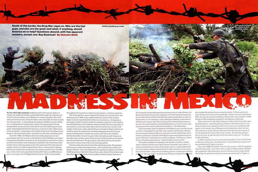 MADNESS IN MEXICO
