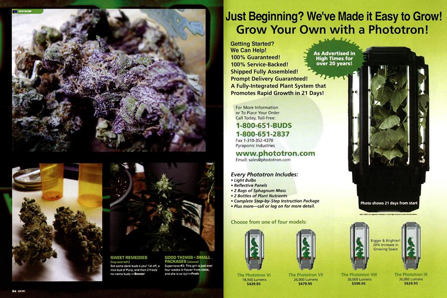 PIX OF THE CROP