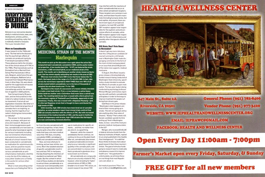 EVERYTHING MEDICAL & MORE