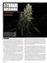Page: - 116 | High Times