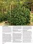 Page: - 126 | High Times