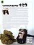 Page: - 13 | High Times