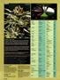 Page: - 24 | High Times