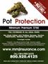 Page: - 33 | High Times