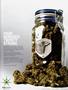 Page: - 39 | High Times