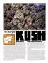 Page: - 42 | High Times