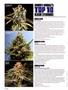 Page: - 44 | High Times