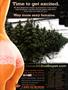 Page: - 45 | High Times
