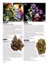 Page: - 46 | High Times