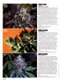 Page: - 48 | High Times