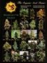 Page: - 61 | High Times