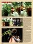 Page: - 62 | High Times