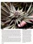 Page: - 70 | High Times