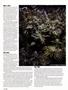 Page: - 78 | High Times