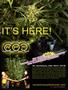 Page: - 79 | High Times