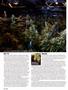 Page: - 80 | High Times