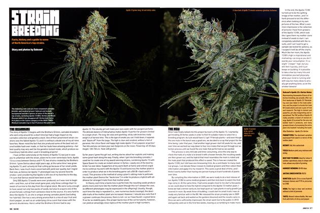 STRAIN BREEDING