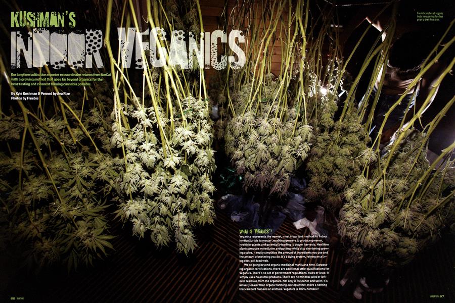 KUSHMAN'S INDOOR VEGANICS