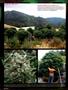 Page: - 100 | High Times