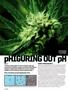 Page: - 114 | High Times