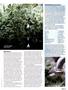 Page: - 51 | High Times