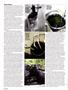 Page: - 52 | High Times