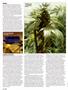 Page: - 54 | High Times