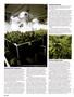 Page: - 56 | High Times