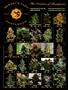 Page: - 57 | High Times