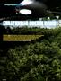 Page: - 64 | High Times