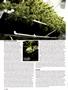 Page: - 74 | High Times