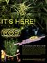 Page: - 75 | High Times