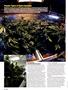 Page: - 76 | High Times