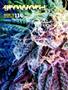 Page: - 95 | High Times