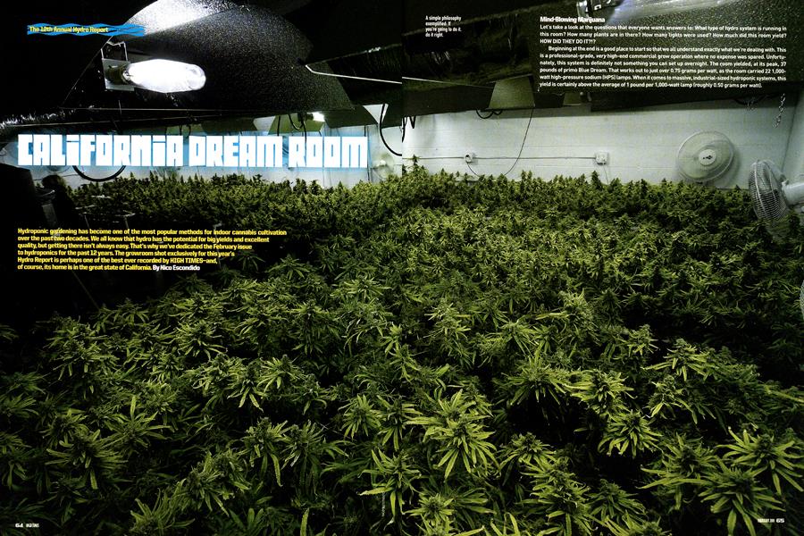 CALIFORNIA DREAM ROOM