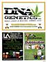 Page: - 113 | High Times