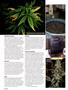 Page: - 116 | High Times