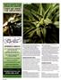 Page: - 124 | High Times