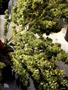 Page: - 39 | High Times