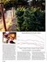 Page: - 40 | High Times