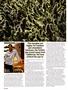Page: - 42 | High Times