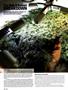 Page: - 52 | High Times