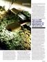 Page: - 53 | High Times