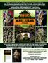 Page: - 65 | High Times