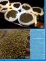 Page: - 74 | High Times