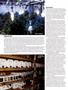 Page: - 80 | High Times