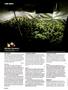 Page: - 120 | High Times