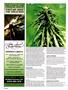 Page: - 124 | High Times