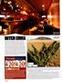 Page: - 14 | High Times